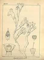  no thumbnail available