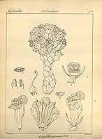  no thumbnail available