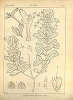  no thumbnail available