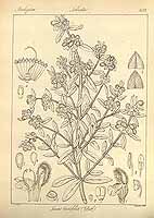  no thumbnail available