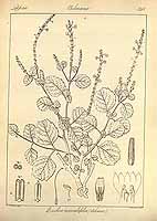  no thumbnail available