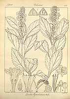  no thumbnail available