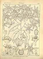  no thumbnail available