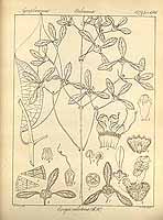  no thumbnail available