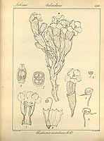  no thumbnail available