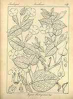  no thumbnail available