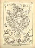  no thumbnail available