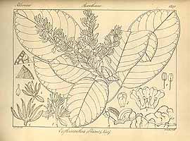  no thumbnail available