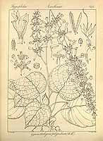  no thumbnail available