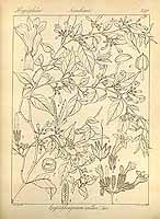  no thumbnail available