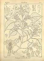  no thumbnail available