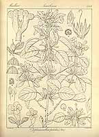  no thumbnail available