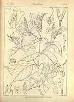  no thumbnail available