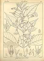  no thumbnail available