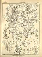  no thumbnail available