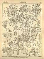  no thumbnail available