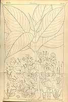  no thumbnail available