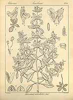  no thumbnail available