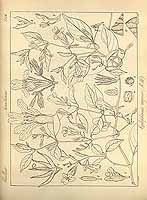  no thumbnail available