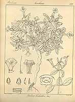  no thumbnail available