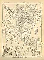  no thumbnail available