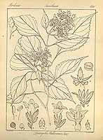  no thumbnail available