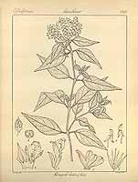  no thumbnail available