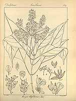  no thumbnail available