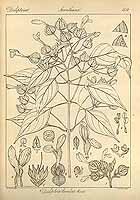  no thumbnail available