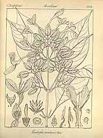  no thumbnail available