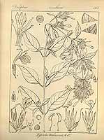  no thumbnail available