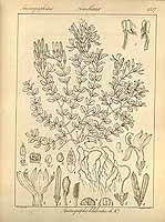  no thumbnail available