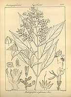  no thumbnail available