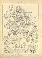  no thumbnail available