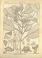  no thumbnail available