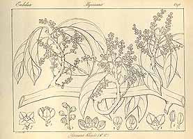  no thumbnail available