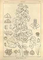  no thumbnail available