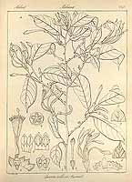  no thumbnail available