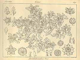  no thumbnail available