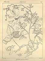  no thumbnail available