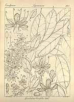  no thumbnail available