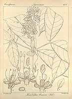  no thumbnail available