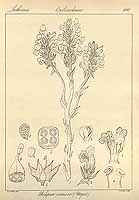  no thumbnail available