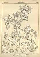  no thumbnail available