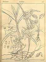  no thumbnail available