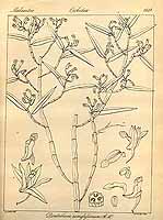  no thumbnail available