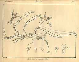  no thumbnail available