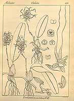  no thumbnail available