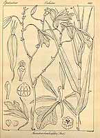  no thumbnail available