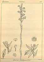  no thumbnail available